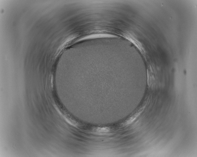 X0000070410157200606161420