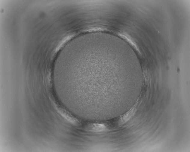 X0000070410159200606161420