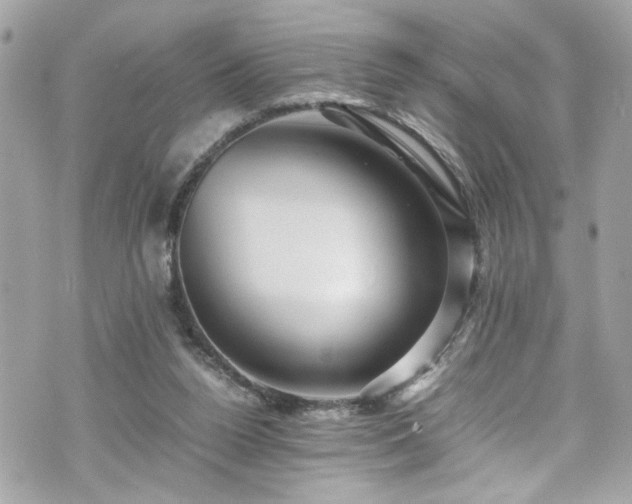 X0000070410160200606161420