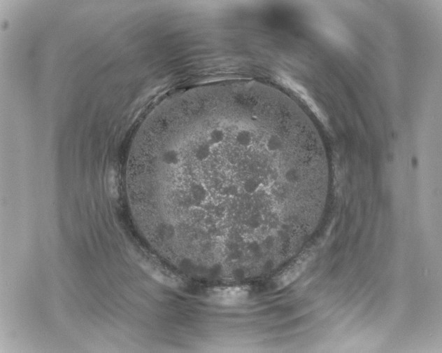 X0000070410161200606161420