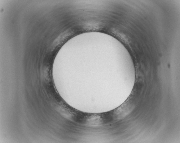 X0000070410162200606161420