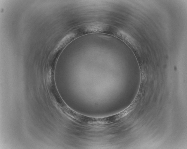 X0000070410163200606161420