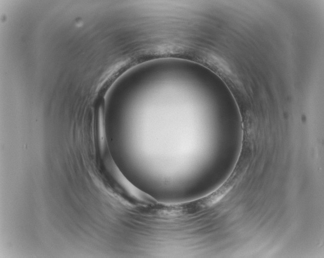 X0000070410164200606161420