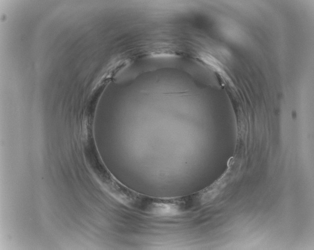 X0000070410167200606161420