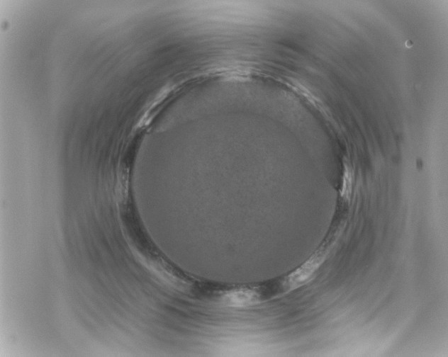 X0000070410168200606161420