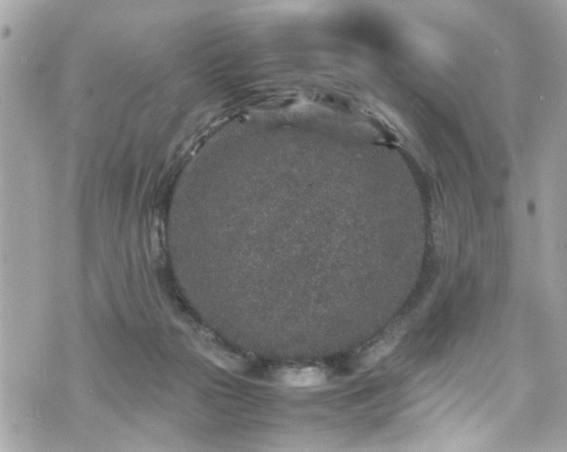 X0000070410169200606161420