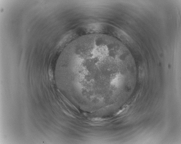 X0000070410173200606161420