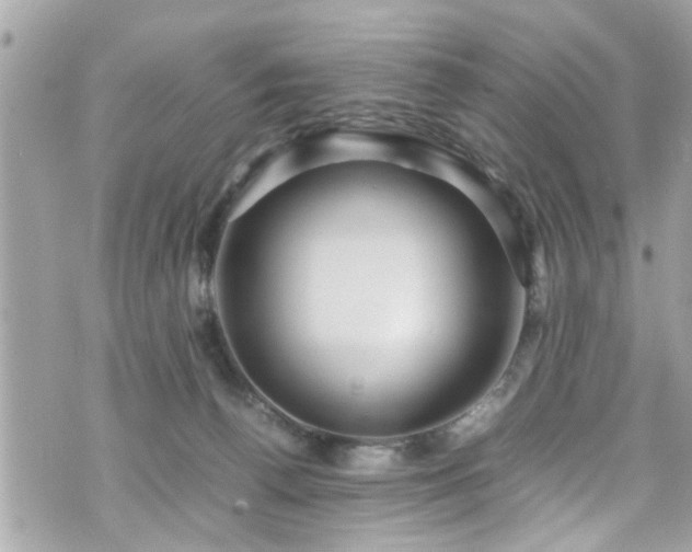 X0000070410176200606161420