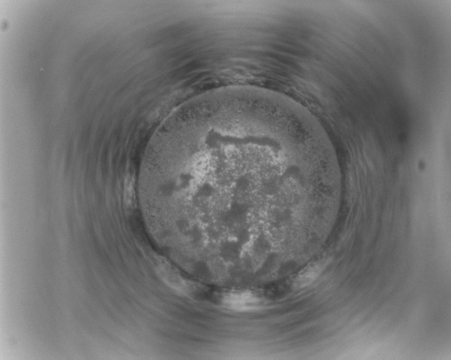 X0000070410177200606161420