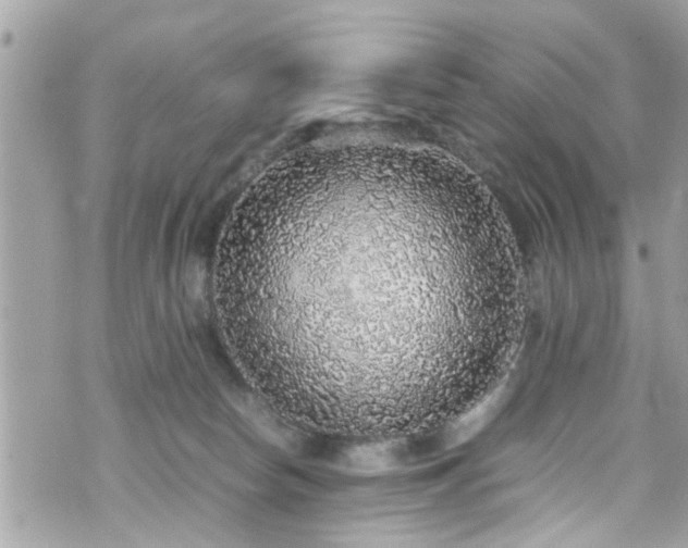 X0000070410178200606161420