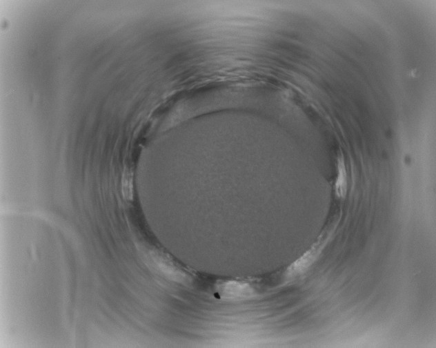 X0000070410180200606161420