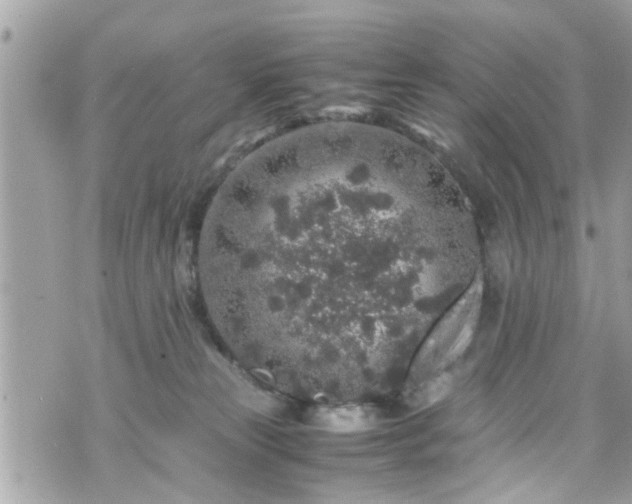 X0000070410181200606161420