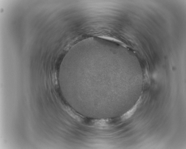 X0000070410182200606161421