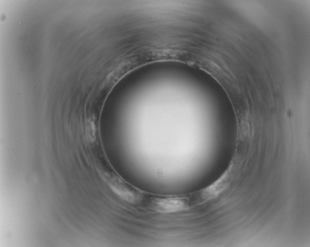 X0000070410183200606161421