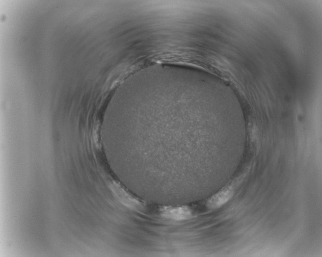 X0000070410185200606161421