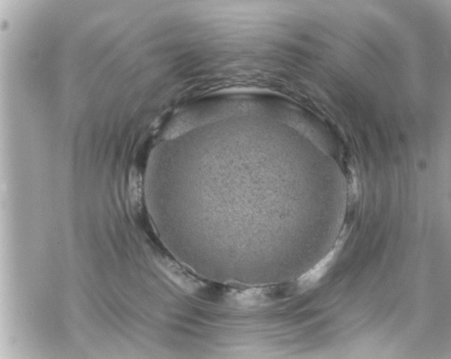 X0000070410186200606161421