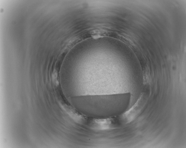 X0000070410187200606161421