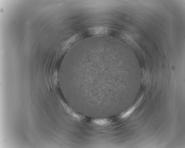 X0000070410189200606161421