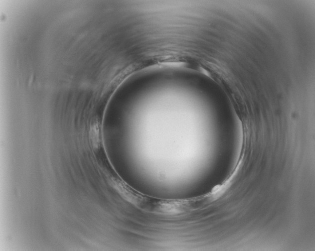 X0000070410190200606161421