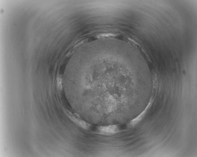 X0000070410191200606161421