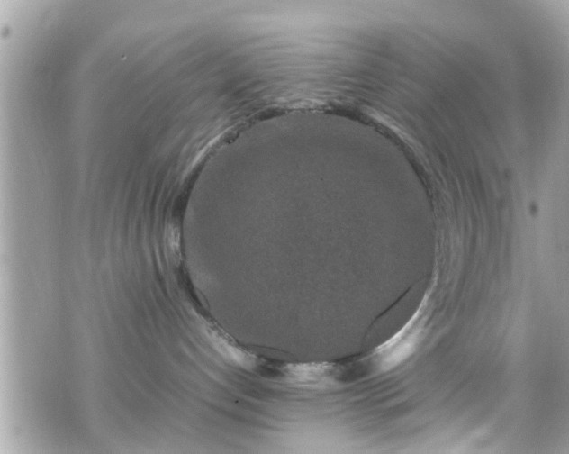 X0000070410192200606161421