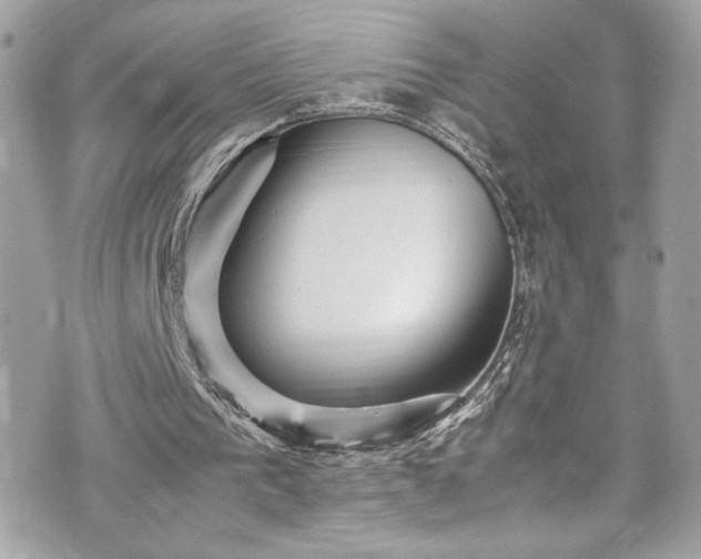 X0000070410193200606161420