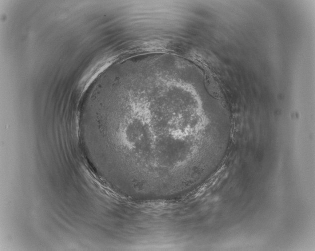 X0000070410194200606161420