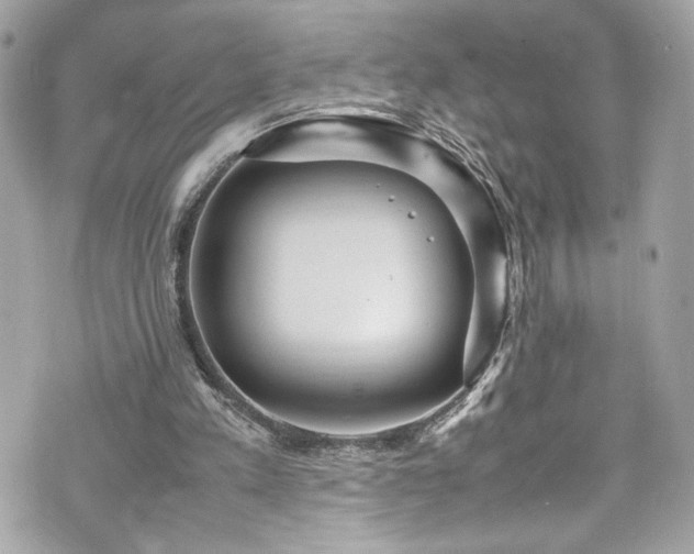 X0000070410197200606161420