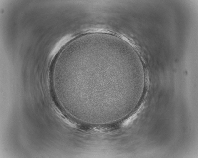 X0000070410199200606161420