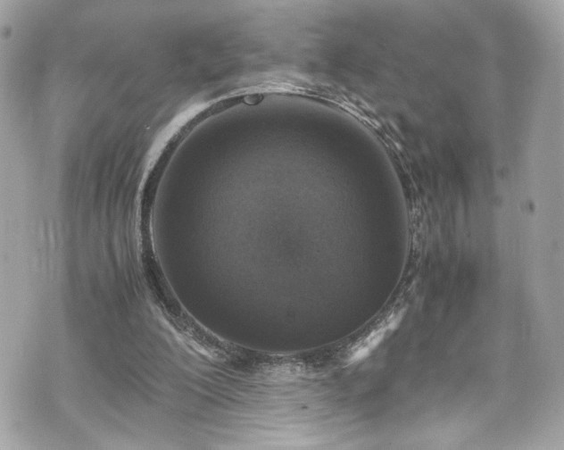 X0000070410200200606161420