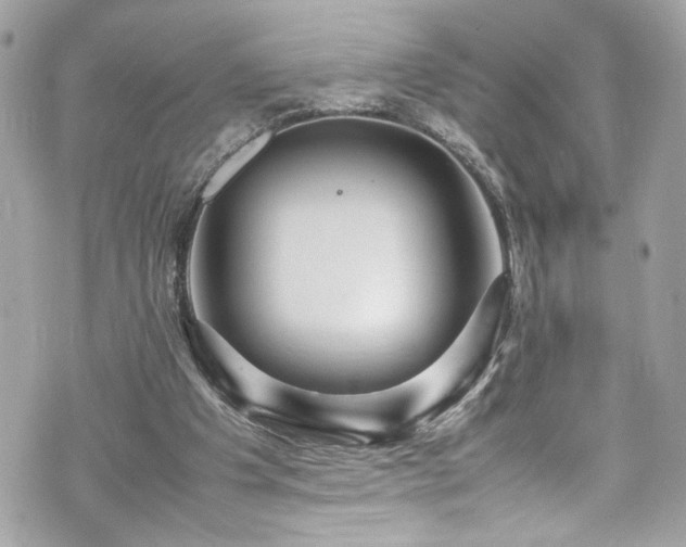 X0000070410201200606161420