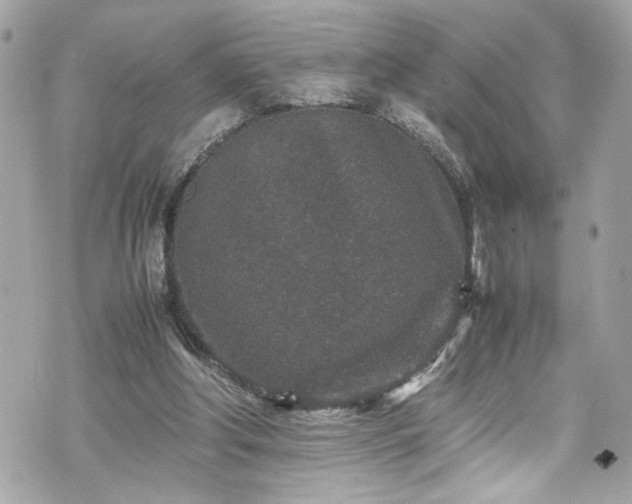 X0000070410202200606161420