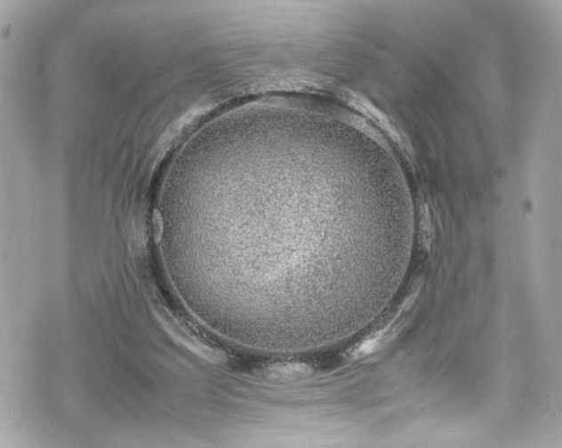 X0000070410203200606161420