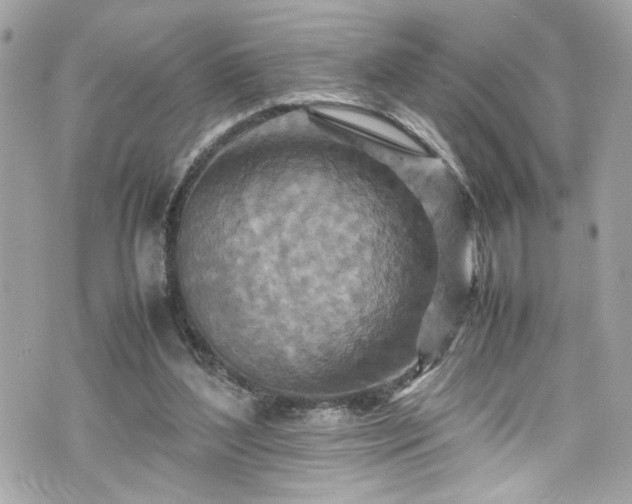 X0000070410204200606161420