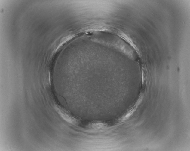 X0000070410205200606161420