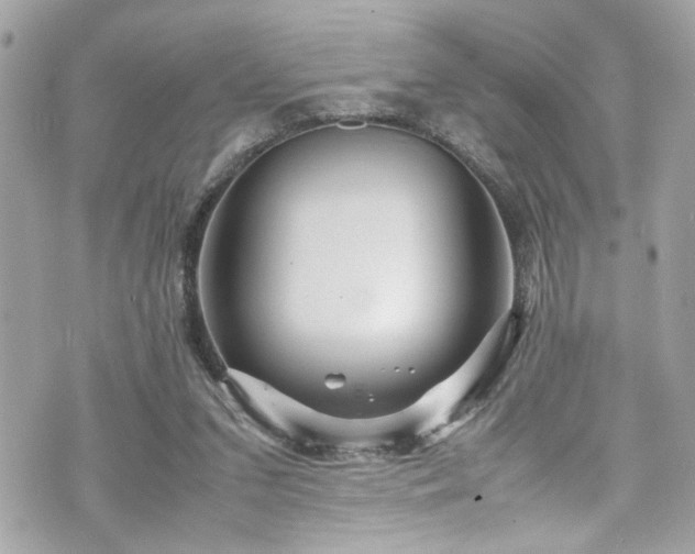 X0000070410207200606161420