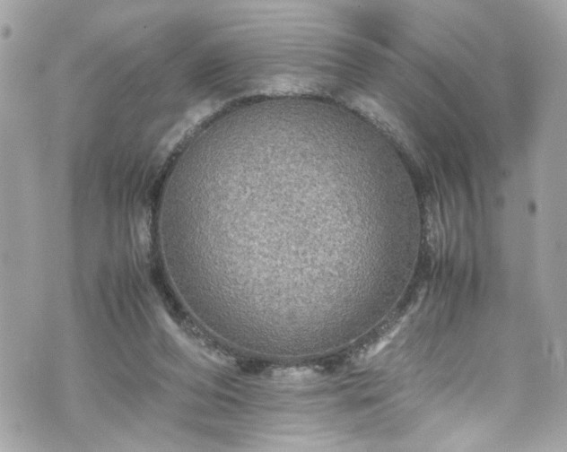 X0000070410208200606161420