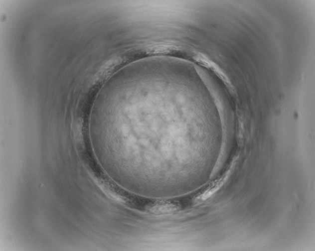 X0000070410209200606161420