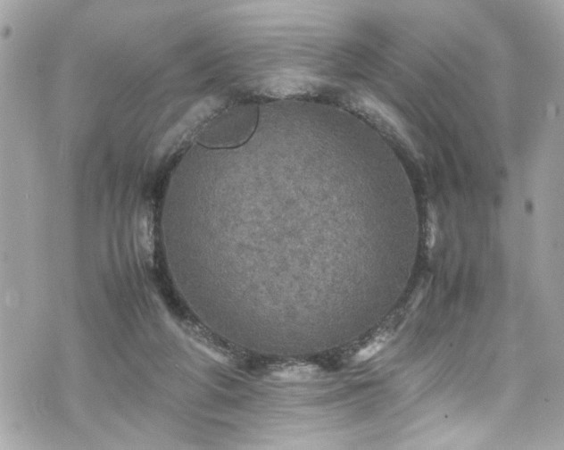 X0000070410210200606161420