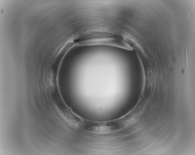 X0000070410212200606161420