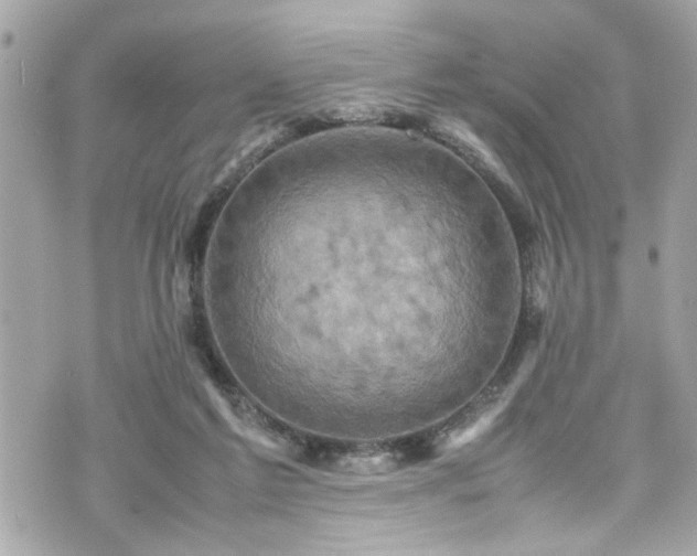 X0000070410213200606161420