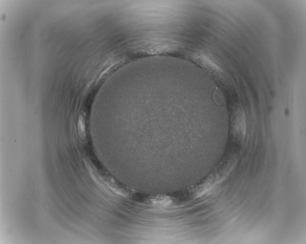 X0000070410214200606161420