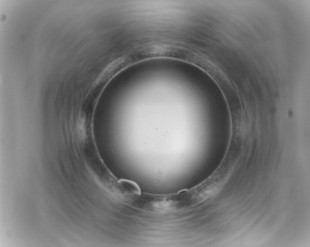 X0000070410216200606161419