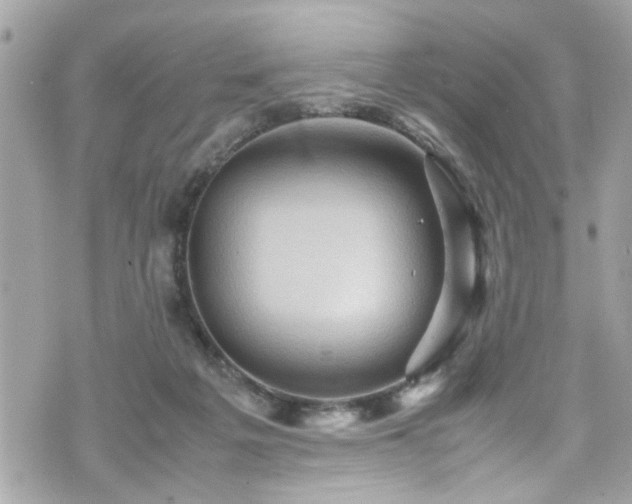 X0000070410217200606161419