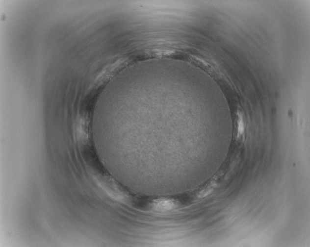 X0000070410218200606161419