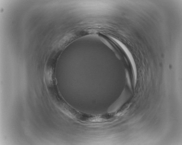 X0000070410219200606161419