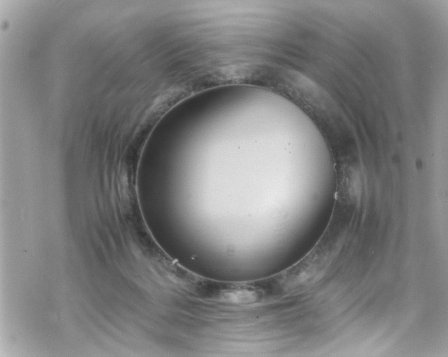 X0000070410220200606161419