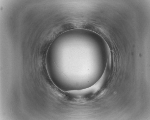 X0000070410221200606161419