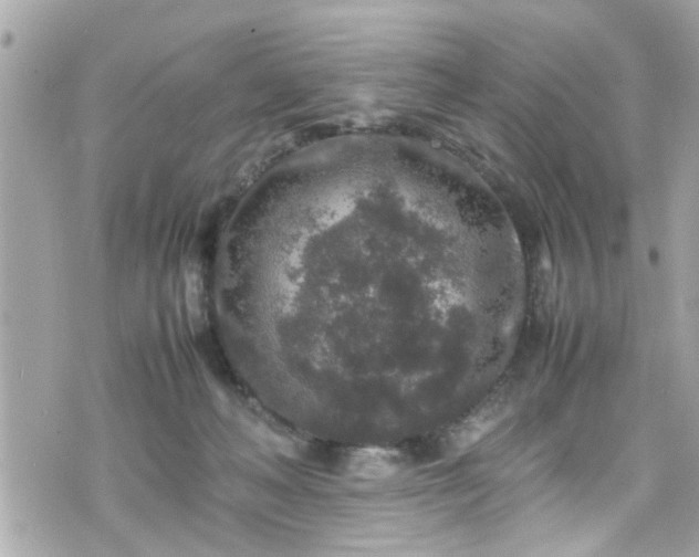 X0000070410222200606161419