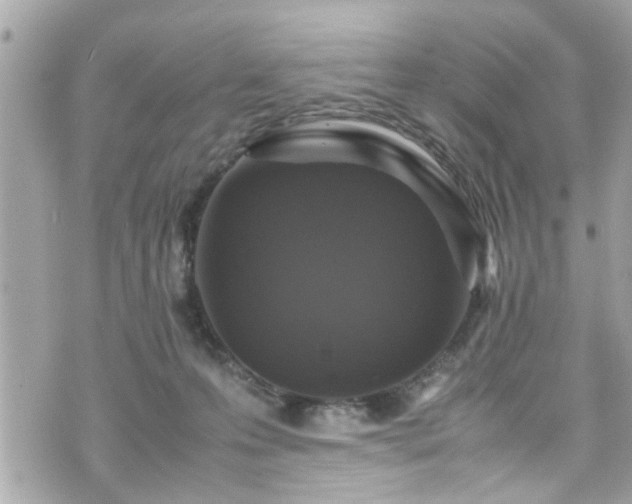 X0000070410223200606161419